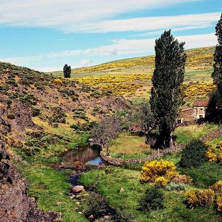 Casa Rural La Vereilla Barajas de Gredos Exterior foto